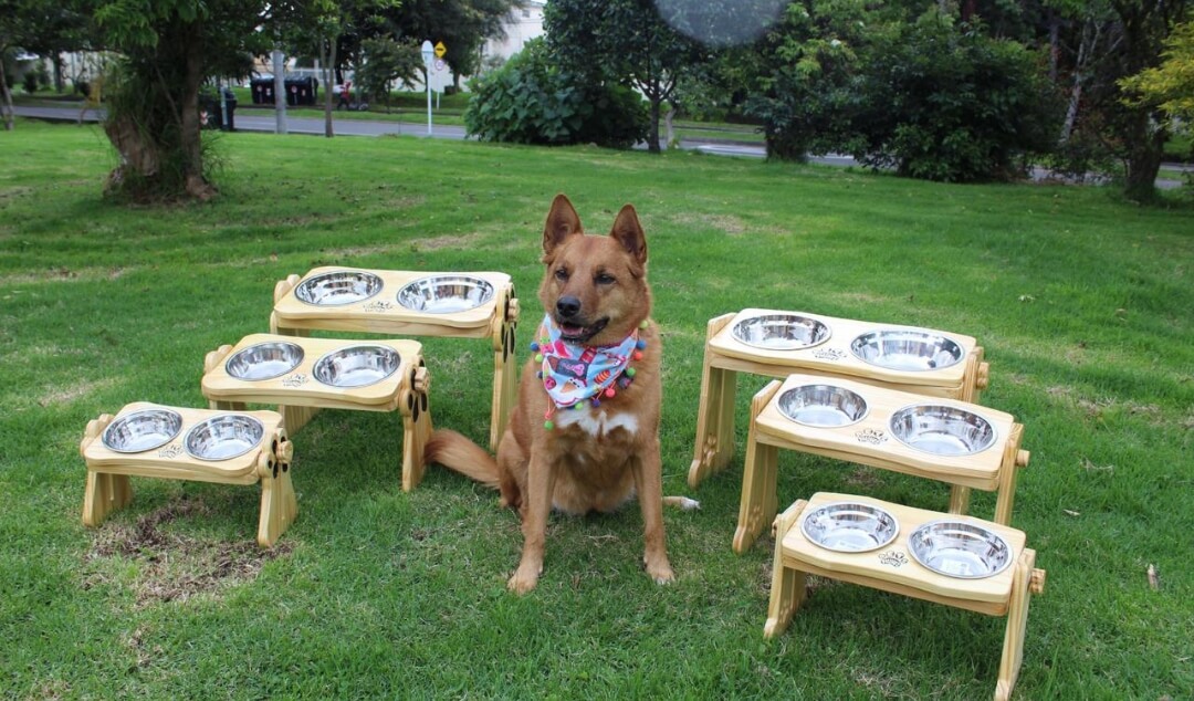 Pets Things – Comedores de Madera para Mascotas