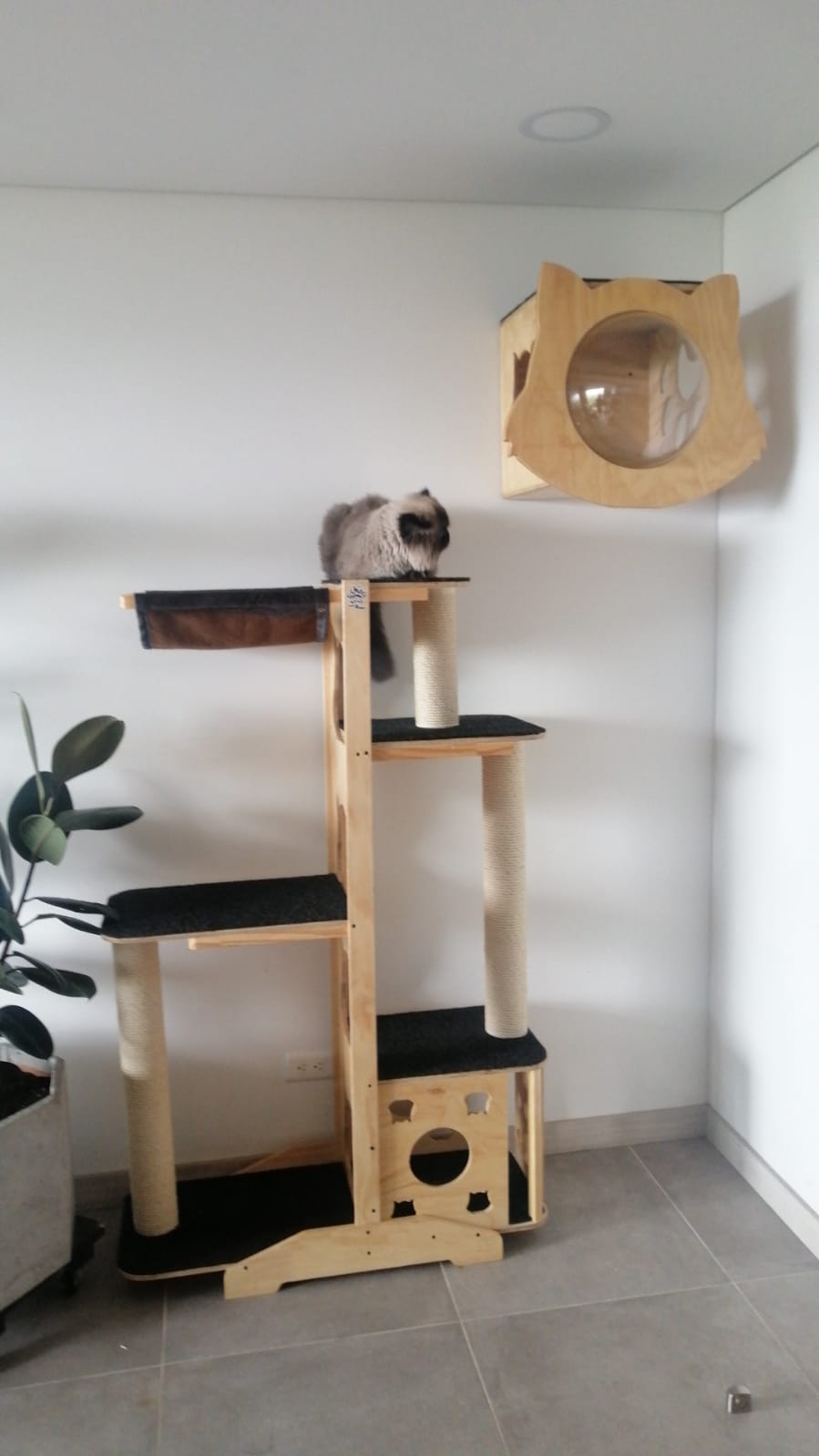 Gimnasio Para Gato Felix 4 Niveles - Imagen 3