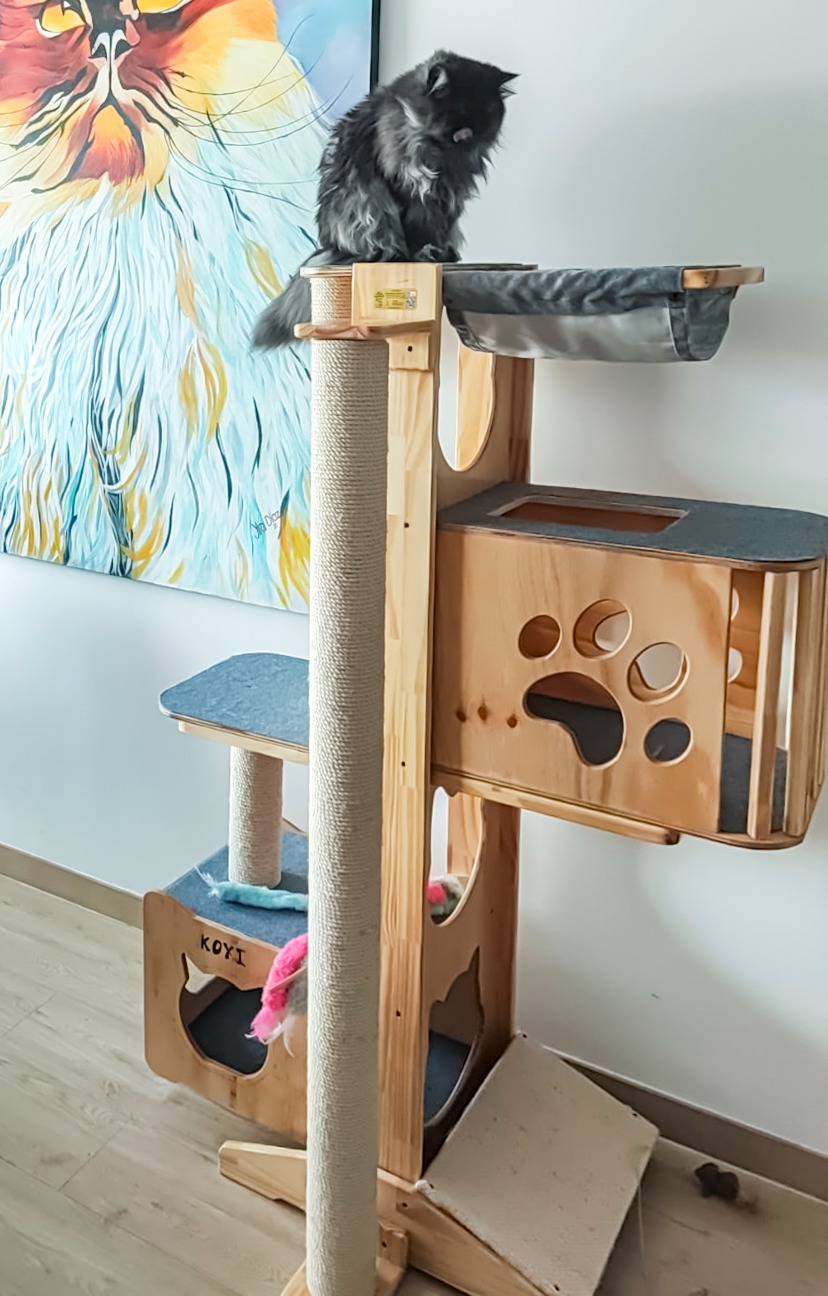 Gimnasio para Gato Kratos